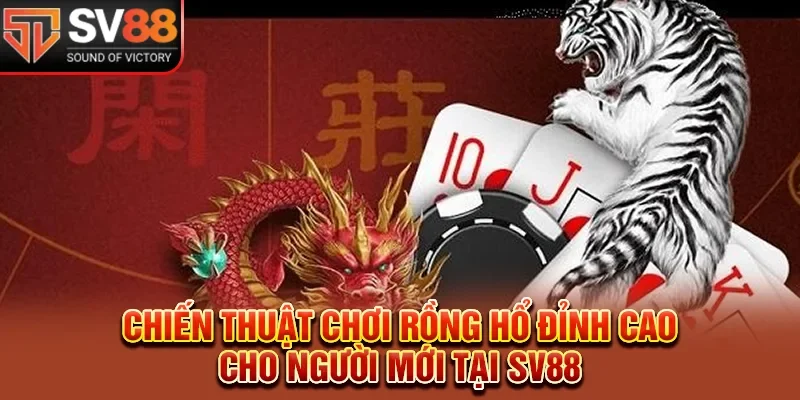 Chiến thuật chơi rồng hổ đỉnh cao cho người mới tại SV88