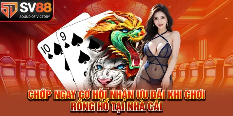 Chớp ngay cơ hội nhận ưu đãi khi chơi Rồng Hổ tại nhà cái