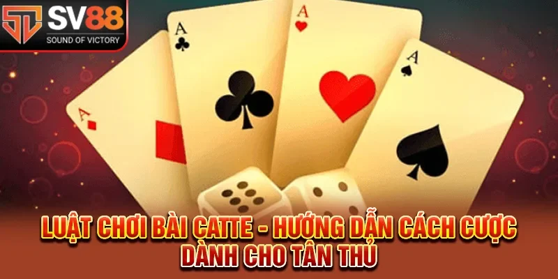 Luật Chơi Bài Catte - Hướng Dẫn Cách Cược Dành Cho Tân Thủ 