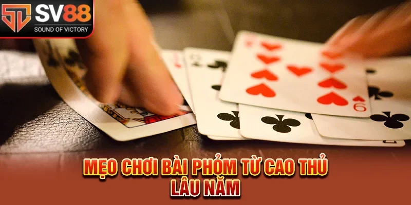 Mẹo chơi bài hiệu quả từ cao thủ lâu năm 