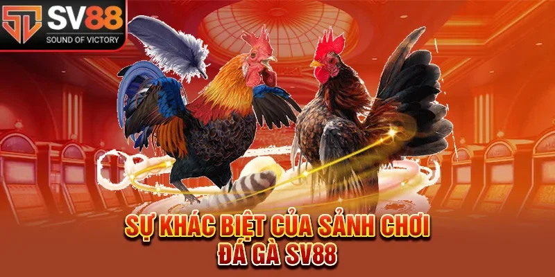 Sự khác biệt của sảnh chơi đá gà SV88