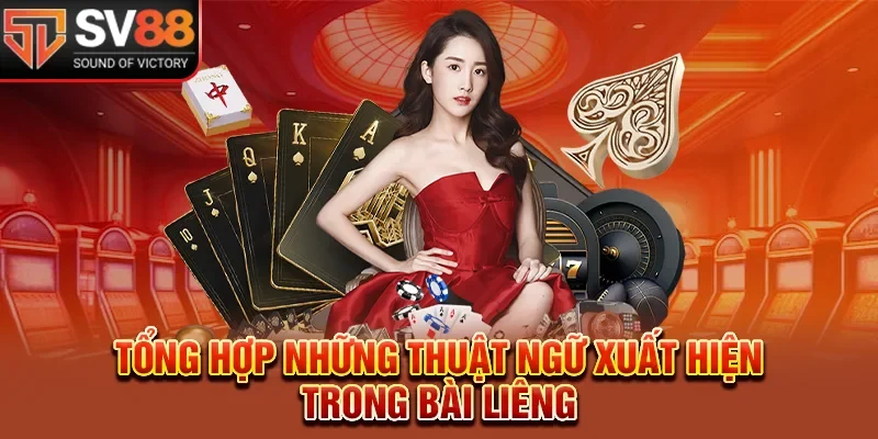 Tổng hợp những thuật ngữ xuất hiện trong bài liêng